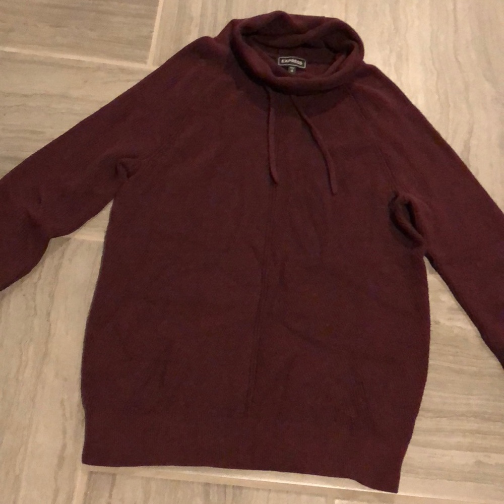 Express Turtle Neck Sweater